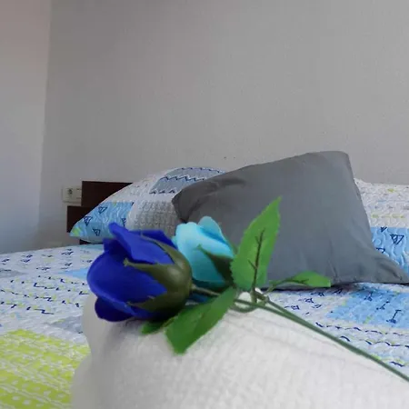 Apartment La Farola Centro De Con Parking 445 Max
